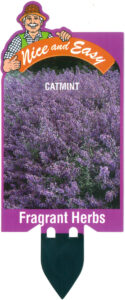 Man Fragrant