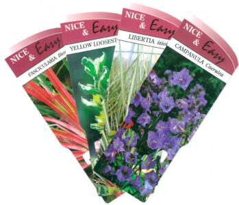 Nice And Easy Herbaceous Fan