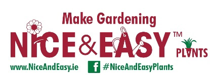 niceandeasylogo